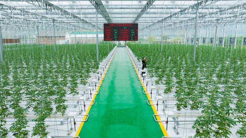 现代农业技术如何重塑农业行业生态