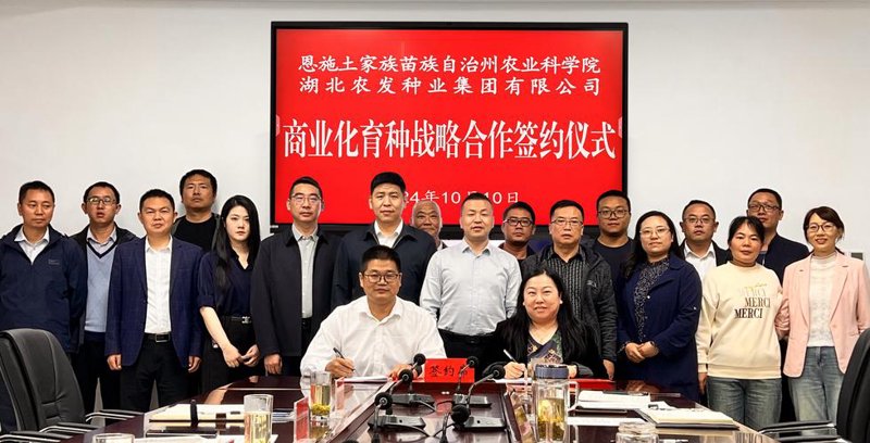农业技术推广选购指南：让田间管理更加智慧