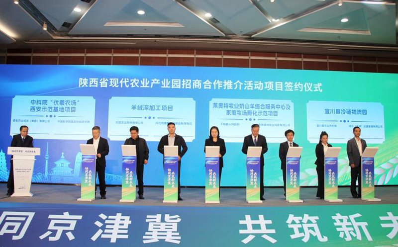 现代农业技术:助力乡村振兴的中坚力量